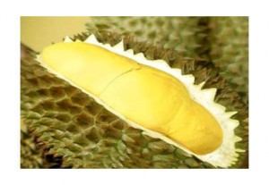 میوه عجیب و لوکس دریان Durian