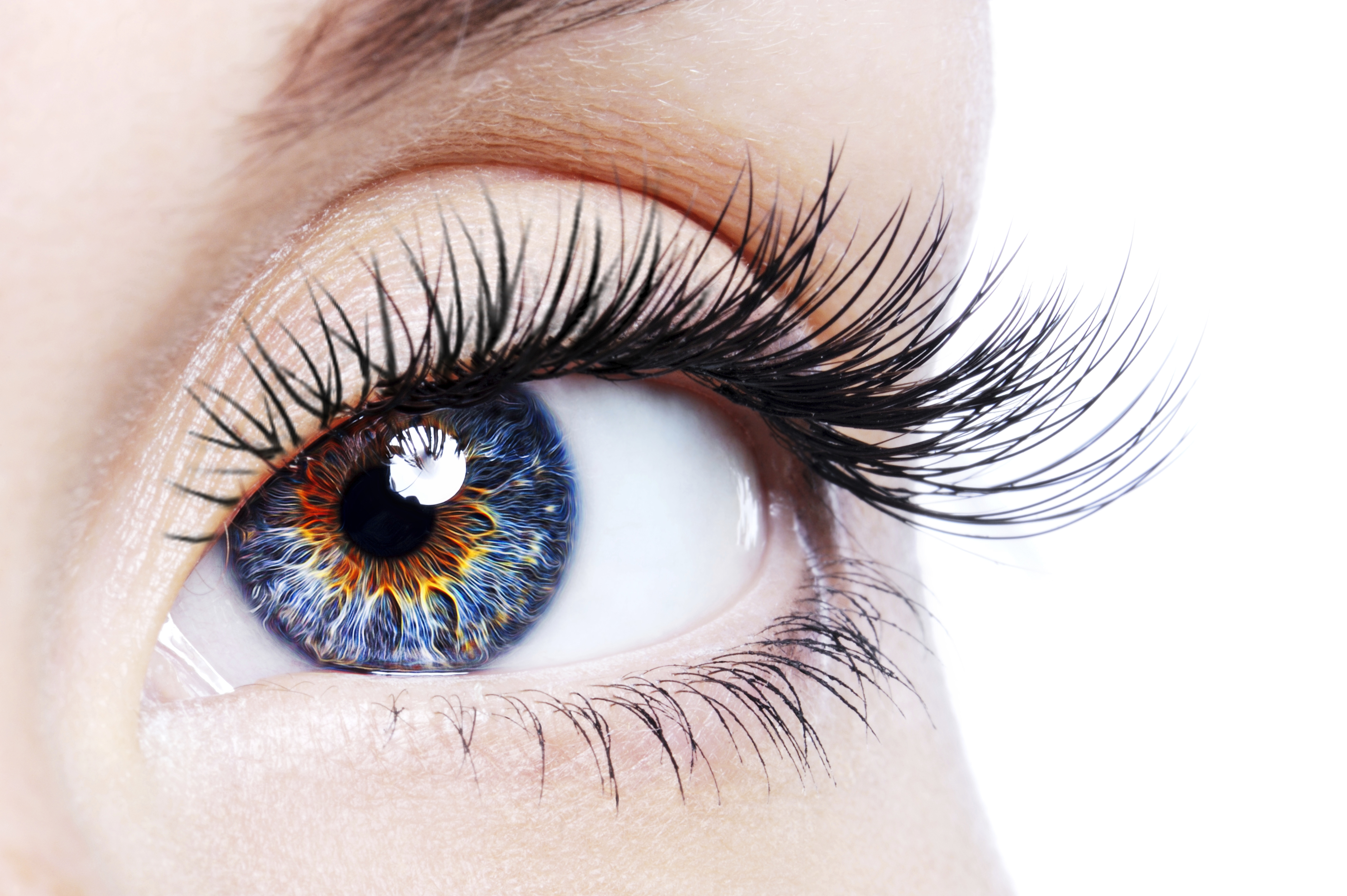 تقویت بینایی و جلای چشم با گیاه دارویی قاصدک